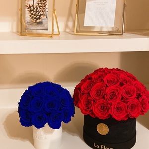 Meet your Posher, Trang